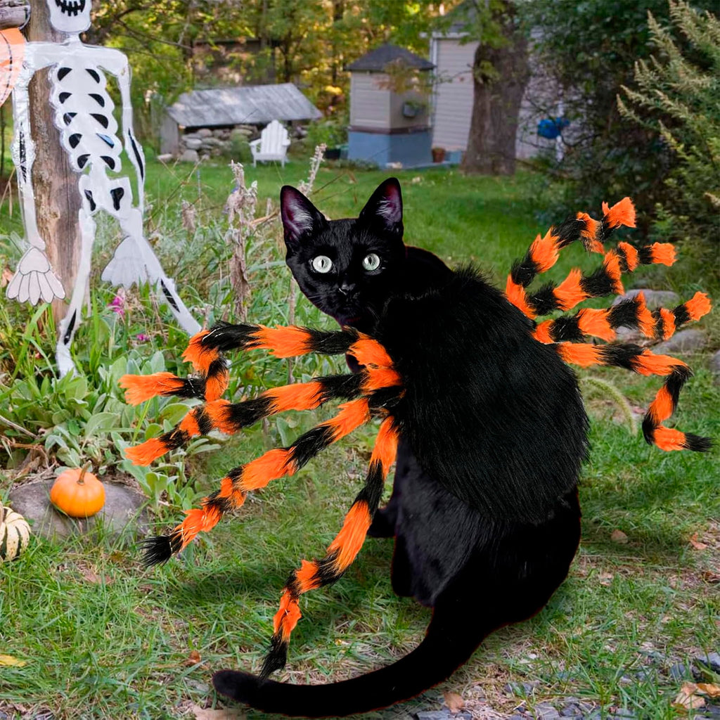 Spider dog costume light modes
